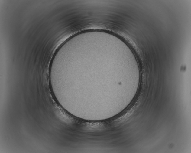 X0000096731129200803041217