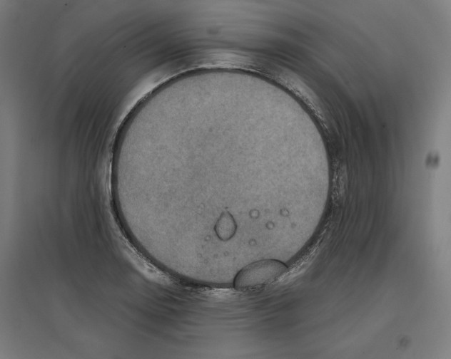 X0000096731130200803041217