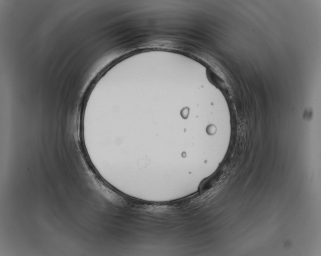 X0000096731131200803041217