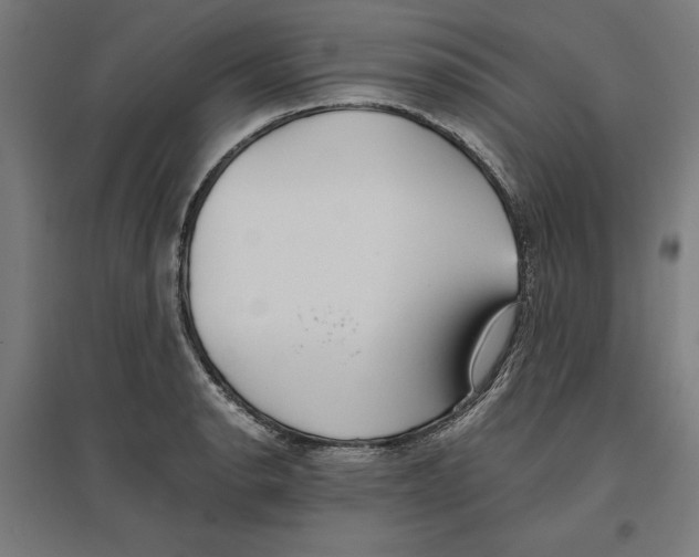X0000096731134200803041217