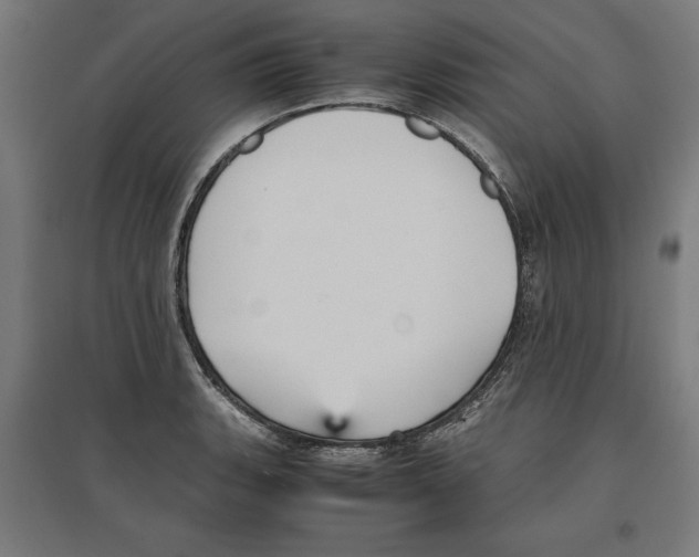 X0000096731135200803041217