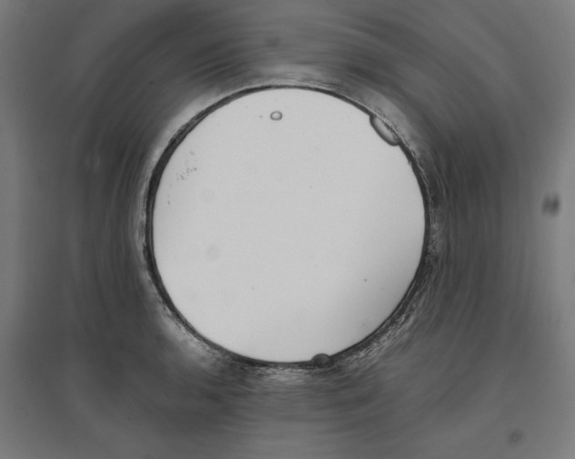 X0000096731136200803041217