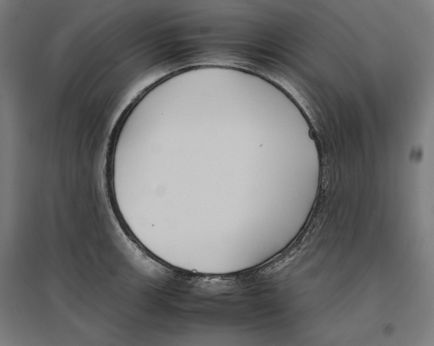 X0000096731139200803041217