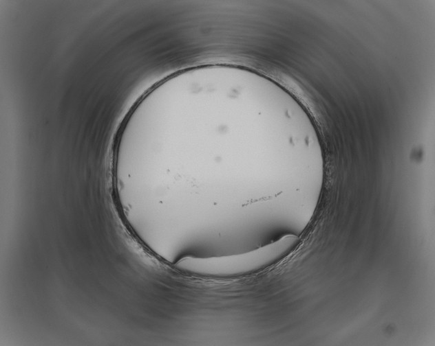 X0000096731140200803041217