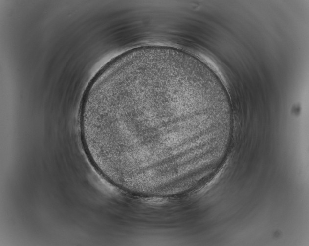 X0000096731141200803041217