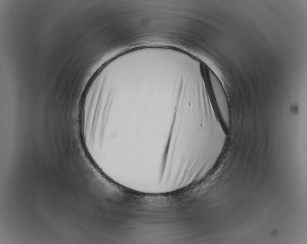 X0000096731142200803041217