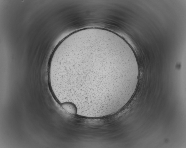 X0000096731143200803041217