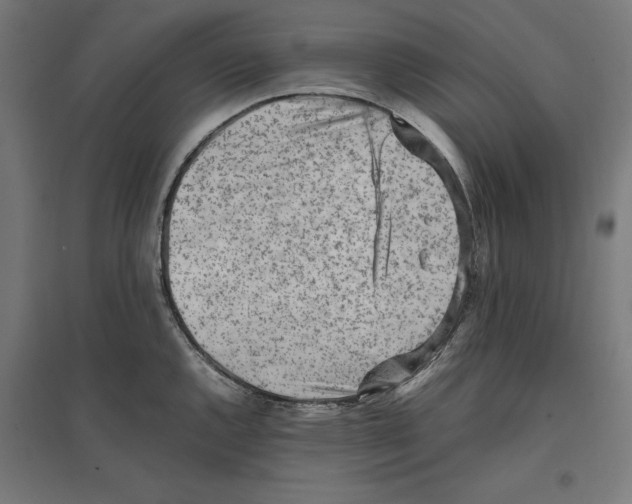 X0000096731144200803041217