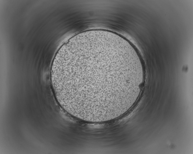 X0000096731145200803041217