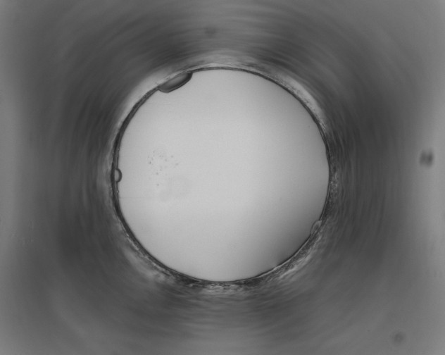 X0000096731146200803041217