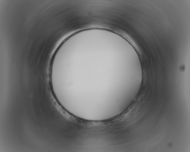 X0000096731148200803041217