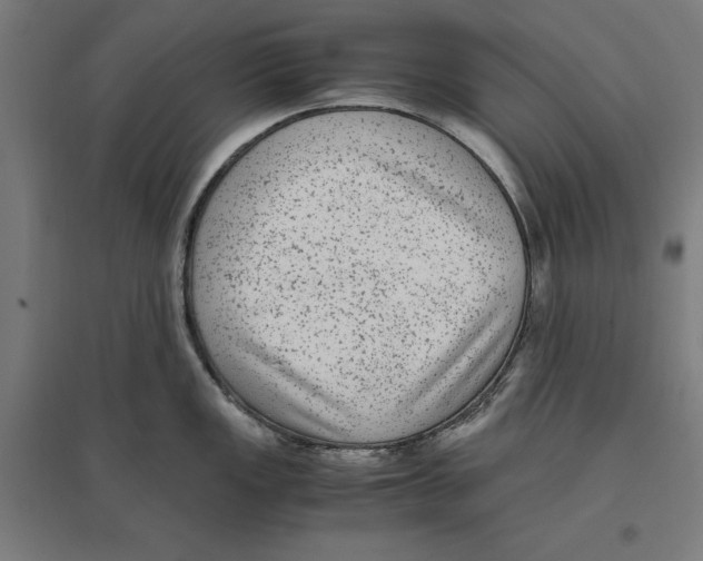 X0000096731149200803041217
