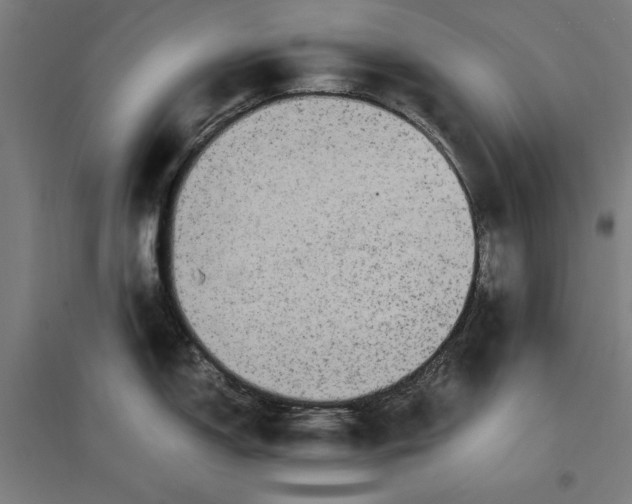 X0000096731150200803041217