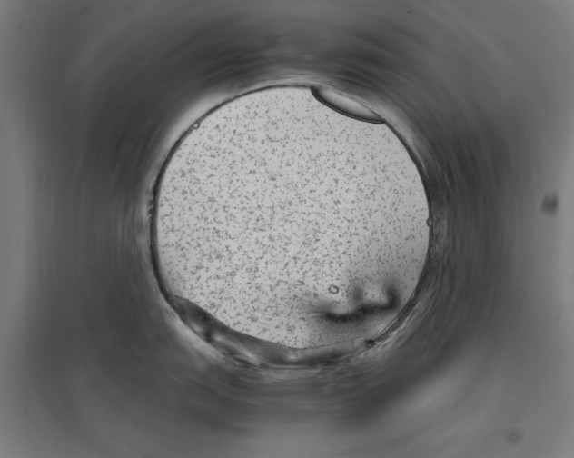 X0000096731151200803041217