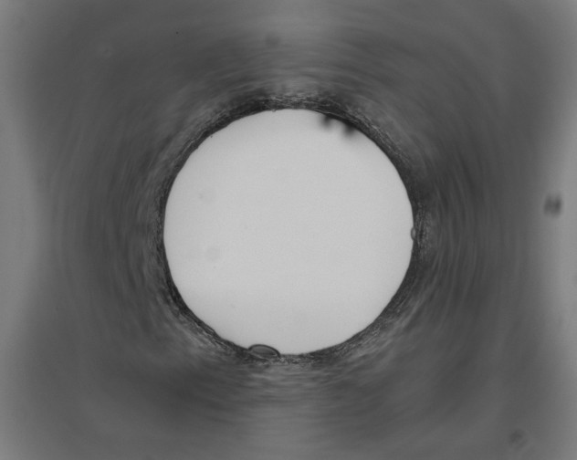 X0000096731153200803041217