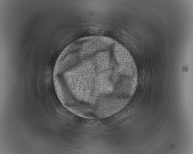 X0000096731154200803041217