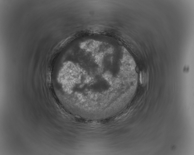 X0000096731155200803041217
