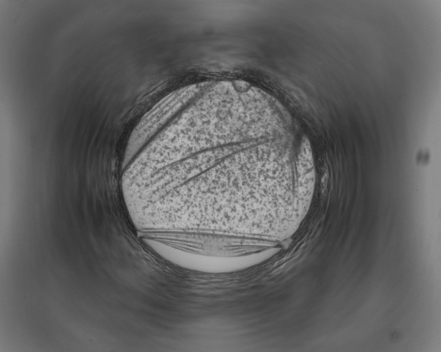 X0000096731156200803041217
