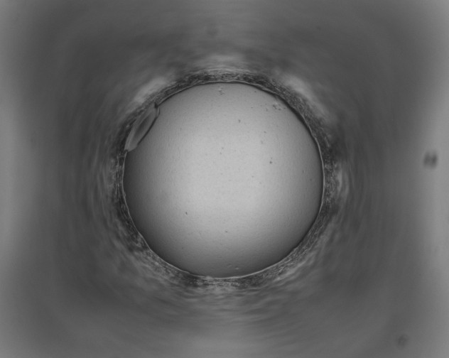 X0000096731157200803041217