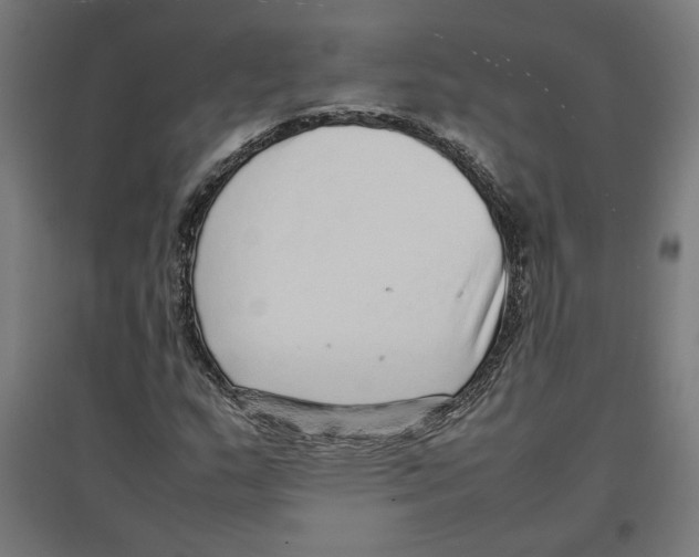 X0000096731159200803041217