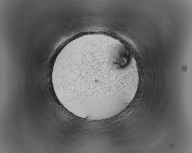 X0000096731160200803041217