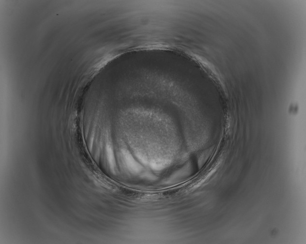 X0000096731161200803041216