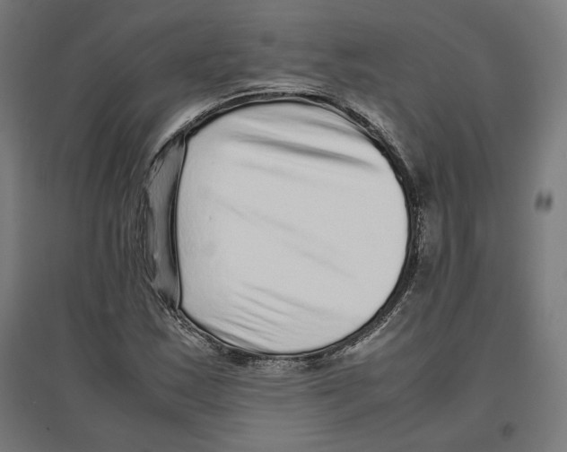 X0000096731163200803041216
