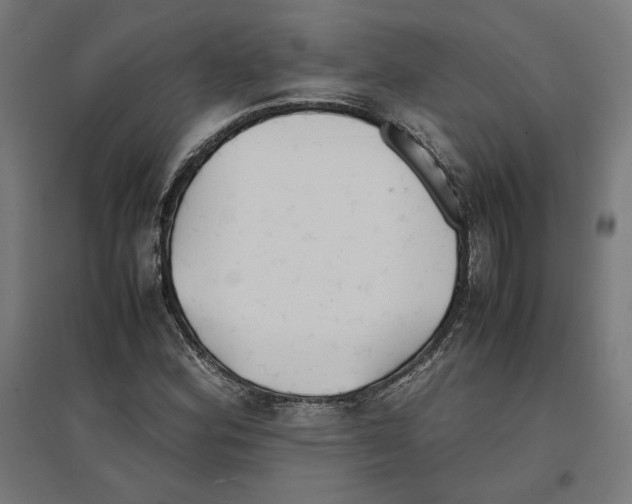 X0000096731164200803041216