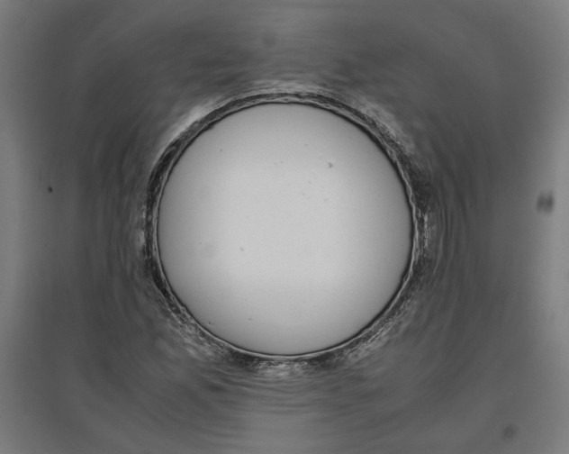 X0000096731165200803041216