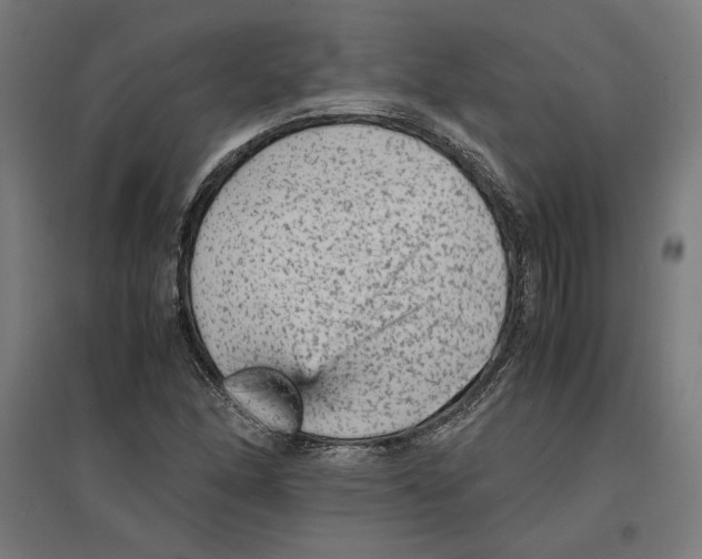 X0000096731166200803041216