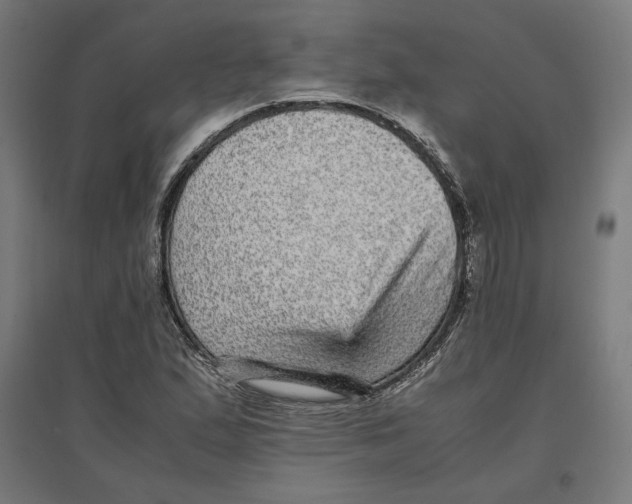 X0000096731167200803041216