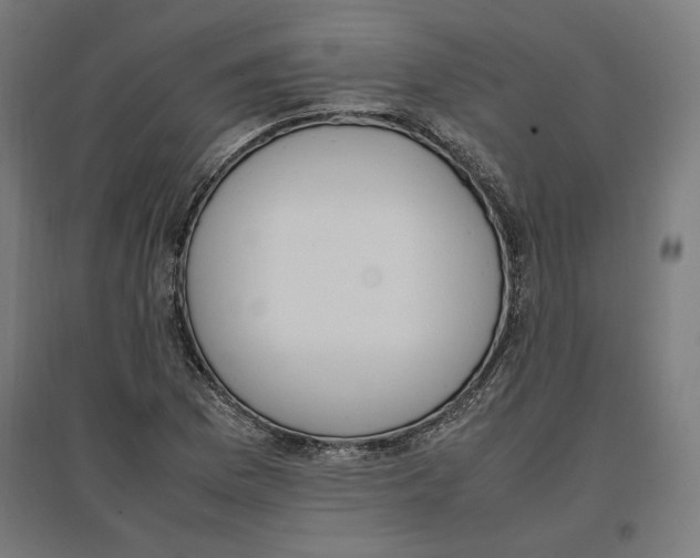 X0000096731169200803041216