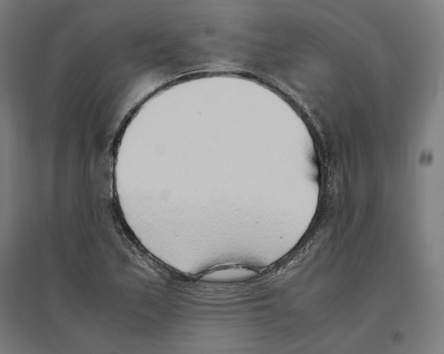 X0000096731171200803041216