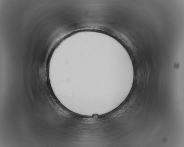 X0000096731172200803041216