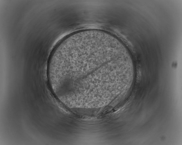 X0000096731174200803041216