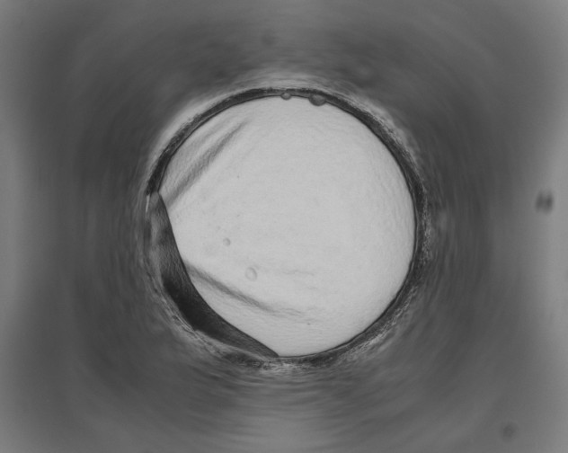 X0000096731175200803041216