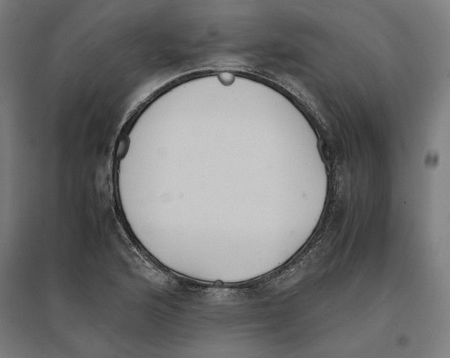 X0000096731176200803041216