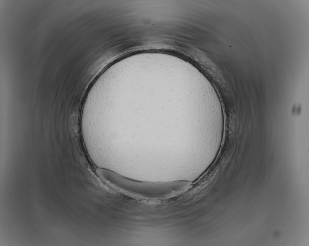 X0000096731177200803041216