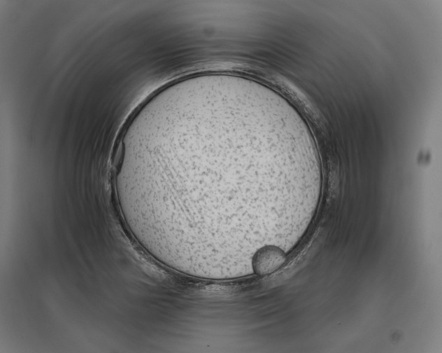 X0000096731178200803041216