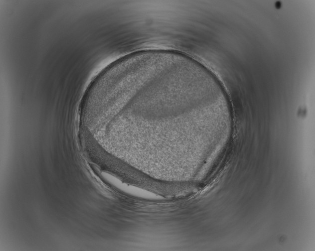 X0000096731179200803041216