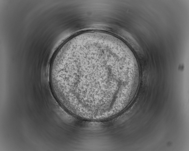 X0000096731180200803041216