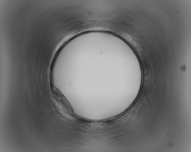 X0000096731181200803041216