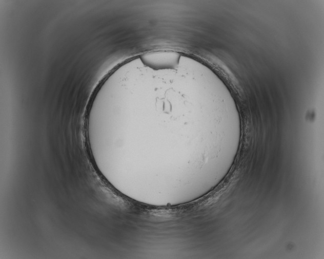 X0000096731182200803041216
