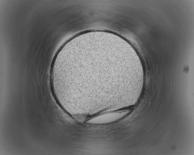 X0000096731183200803041216
