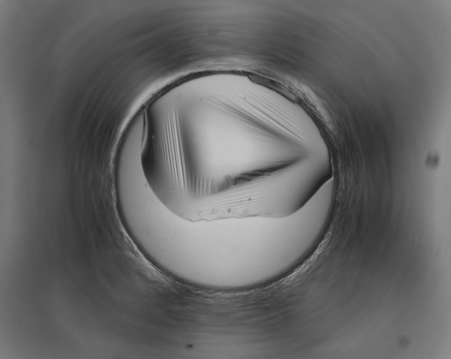 X0000096731184200803041216