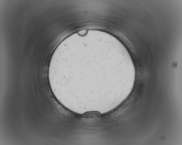 X0000096731185200803041216
