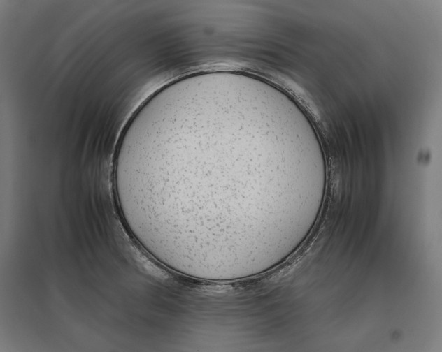 X0000096731186200803041216