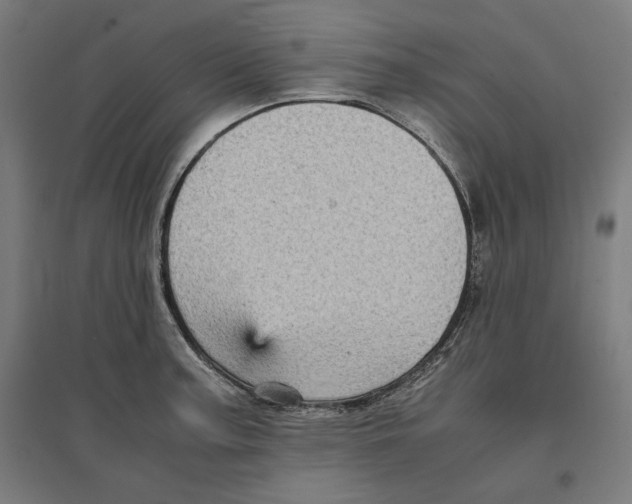 X0000096731187200803041216