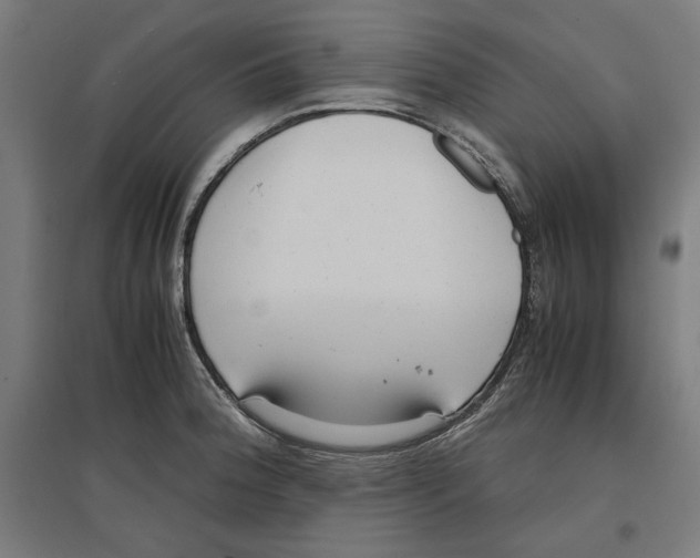 X0000096731188200803041216