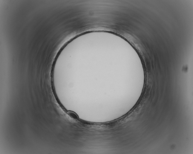 X0000096731189200803041216